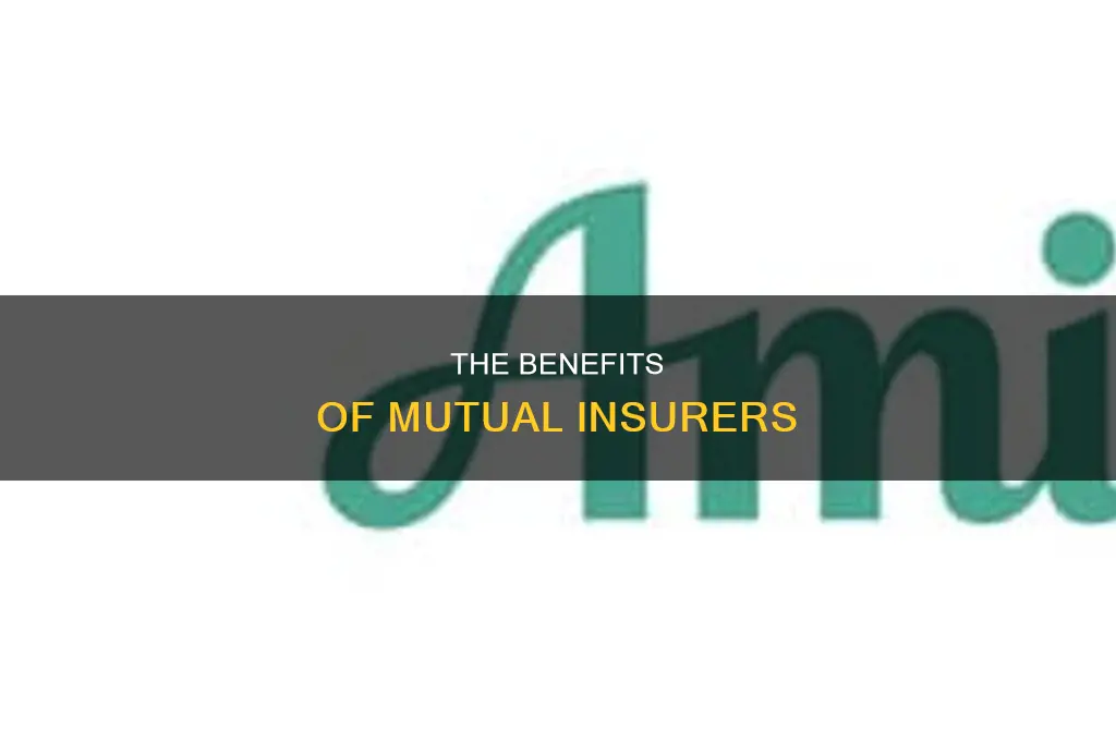what is a mutual insurer