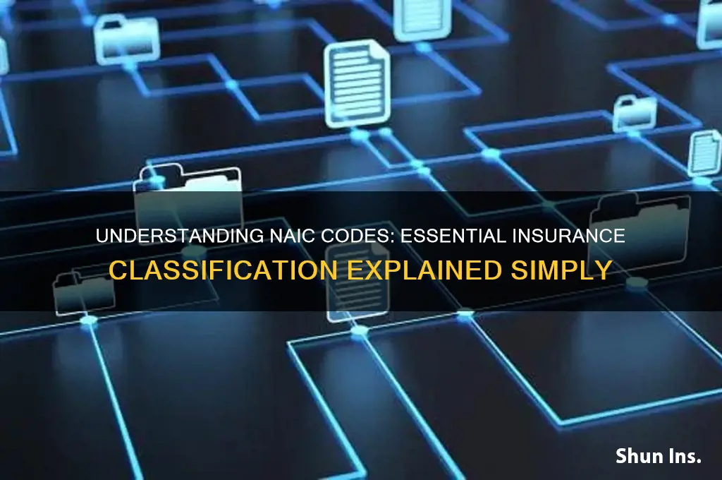 what is a naic code for insurance