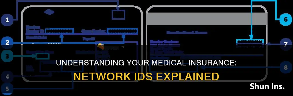 what is a network id medical insurance