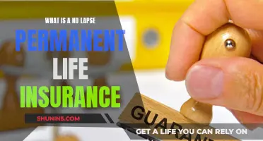 Permanent Life Insurance: No-Lapse Guarantee Explained