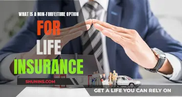 Understanding Non-Forfeiture Options in Life Insurance Policies