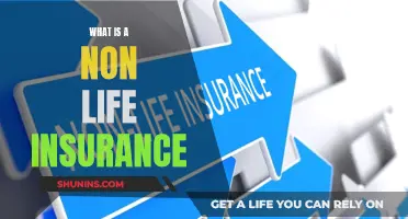 Understanding Non-Life Insurance: What You Need to Know