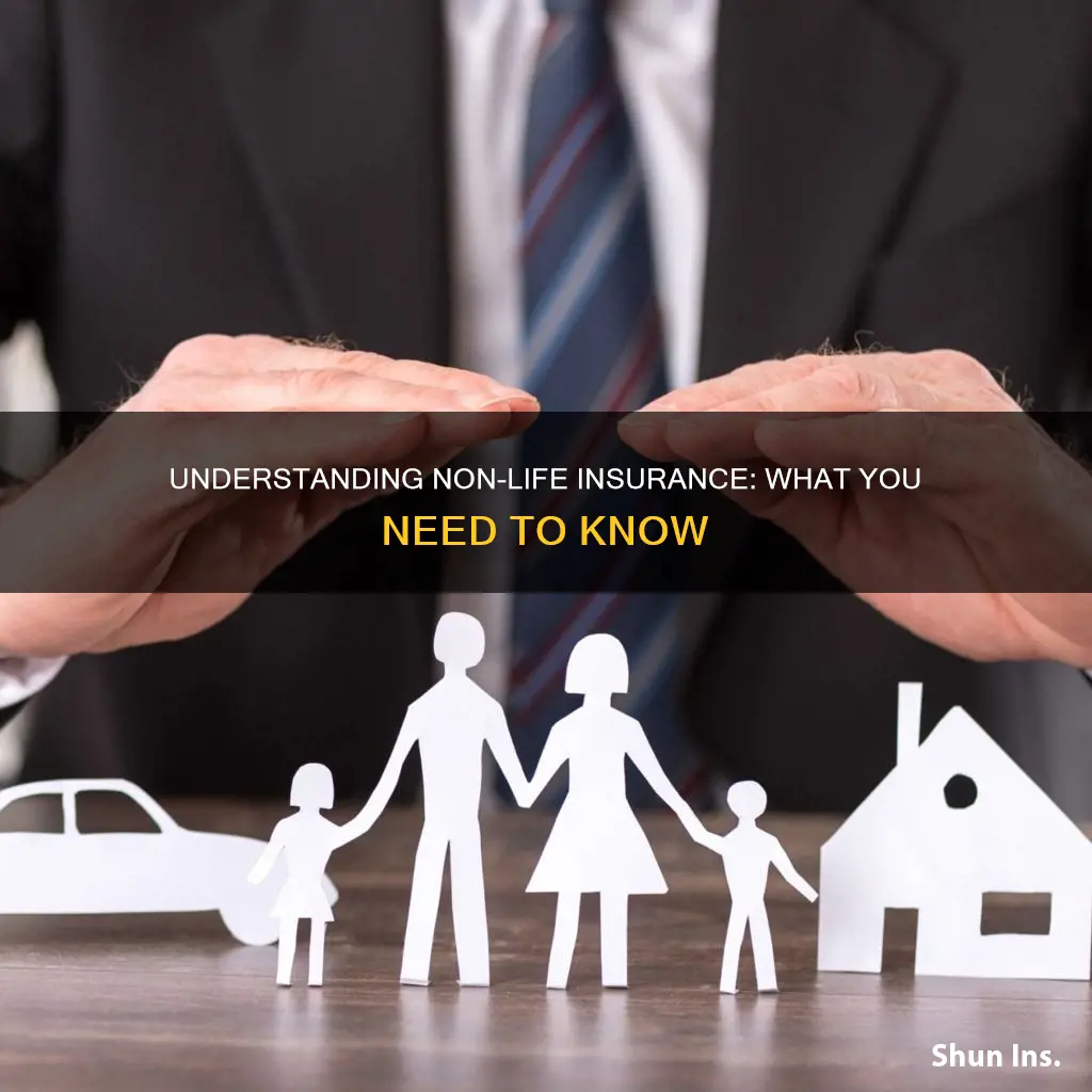 what is a non life insurance