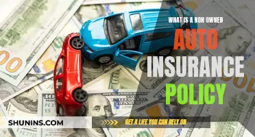 Understanding Non-Owned Auto Insurance Policies: What You Need to Know