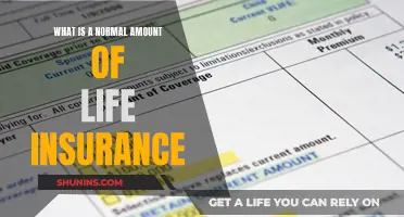 How Much Life Insurance is Enough?