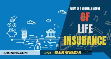 How Much Life Insurance is Enough?