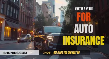 Auto Insurance in NY: Understanding the Fees and Fines