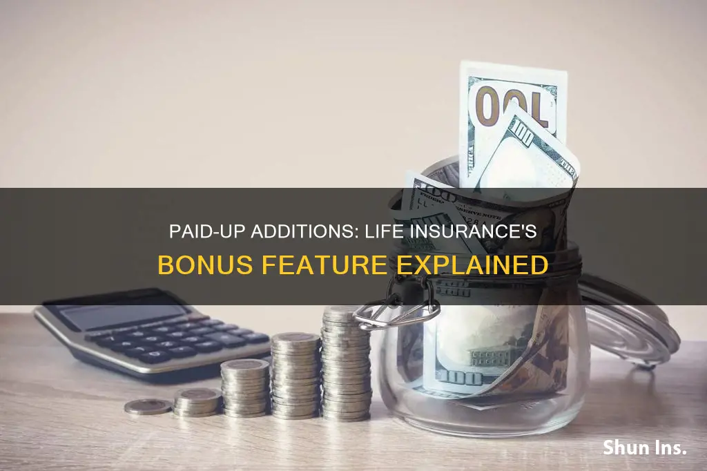 what is a paid up addition in life insurance