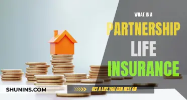 Partnership Life Insurance: Protecting Your Business and Family