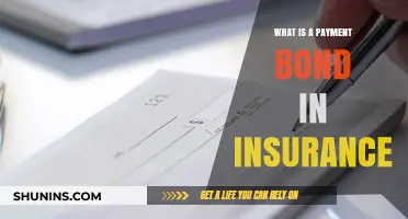 Payment Bonds: Insurance and Its Benefits