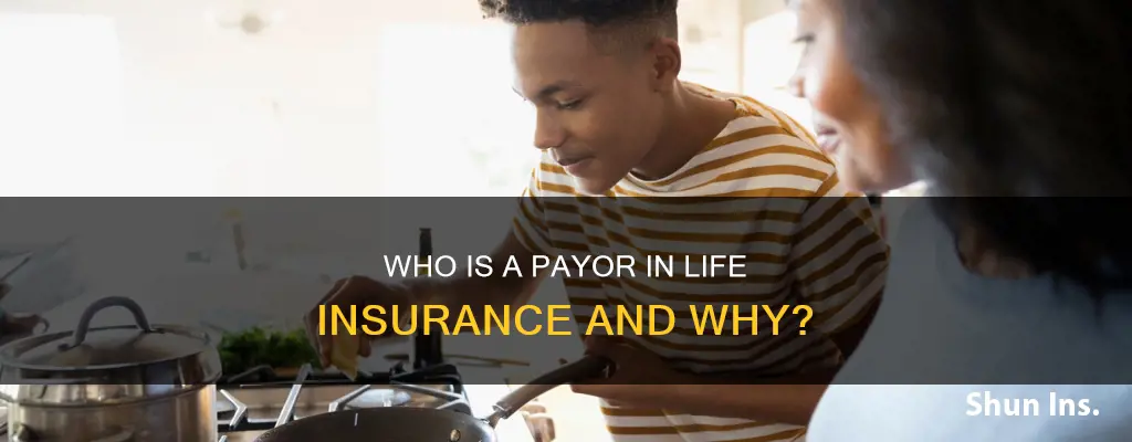 what is a payor in life insurance