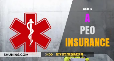 Understanding PEO Insurance: Benefits, Costs, and How It Works
