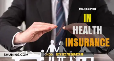 Understanding Perils in Health Insurance: Risks, Coverage, and Protection Explained