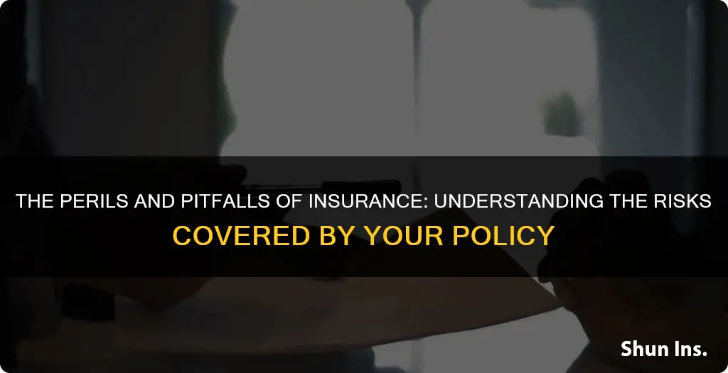 what is a peril in insurance terms