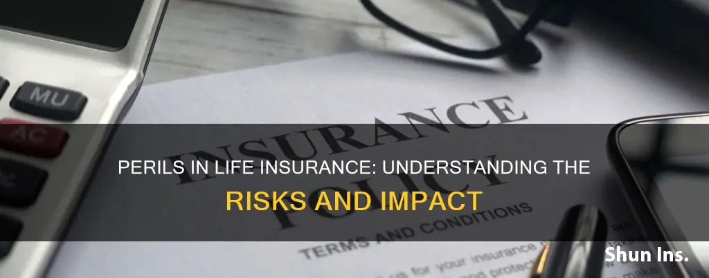 what is a peril in life insurance