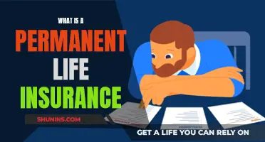 Life Insurance: Permanent Options Explained