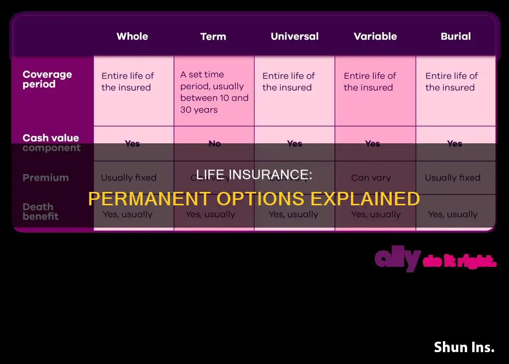 what is a permanent life insurance