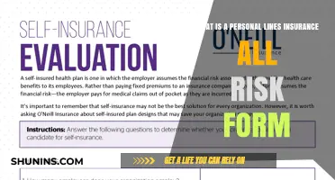 Understanding Personal Lines Insurance: All-Risk Form Basics