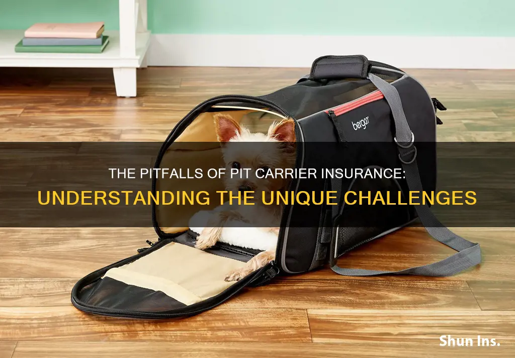 what is a pit carrier in terms of insurance