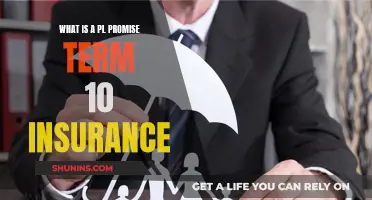 Understanding PL Promise Term 10 Insurance: A Comprehensive Guide