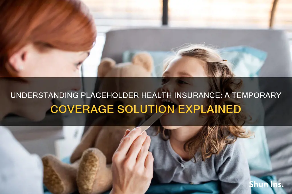what is a placeholder health insurance