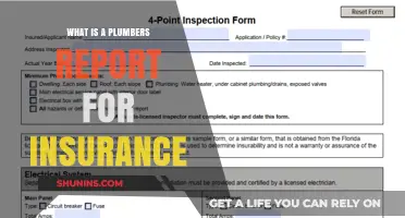 Plumbers' Insurance Reports: What You Need to Know