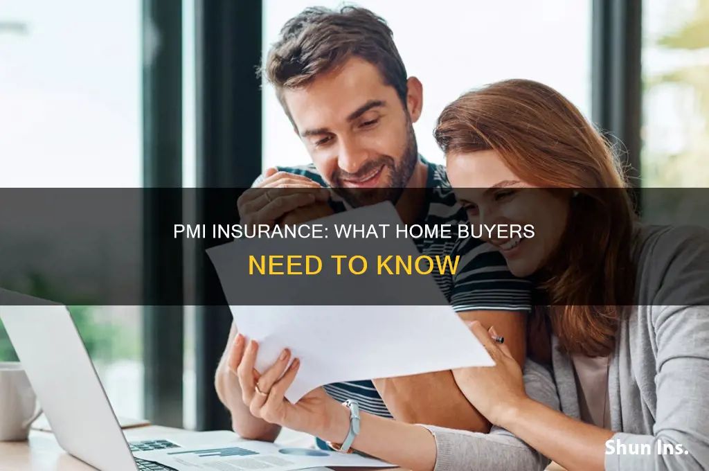 what is a pmi insurance