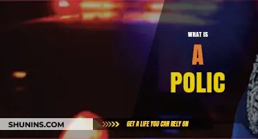 Understanding the Role and Importance of a Polic in Society