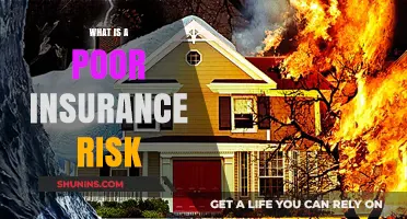 Understanding Poor Insurance Risks and Their Impact