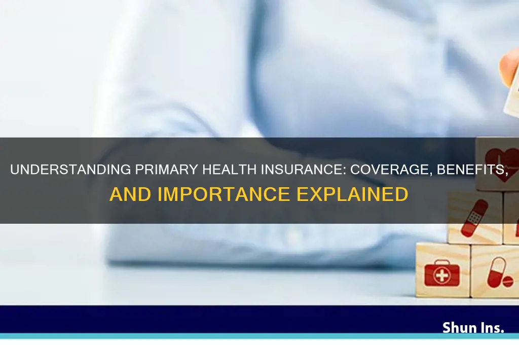 what is a primary health insurance