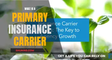 Primary Insurance Carrier: What's the Main Provider?