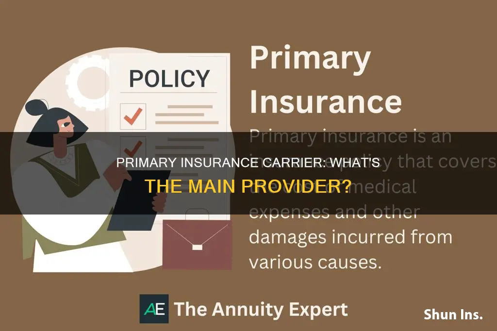 what is a primary insurance carrier