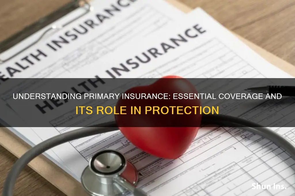 what is a primary insurance