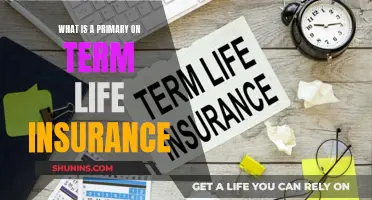 Term Life Insurance: Primary Policy Basics