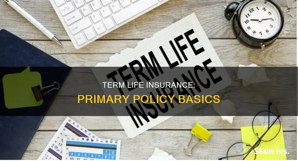 what is a primary on term life insurance