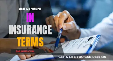 The Underlying Principles of Insurance: Unraveling the Concept of Principal in Insurance Terminology