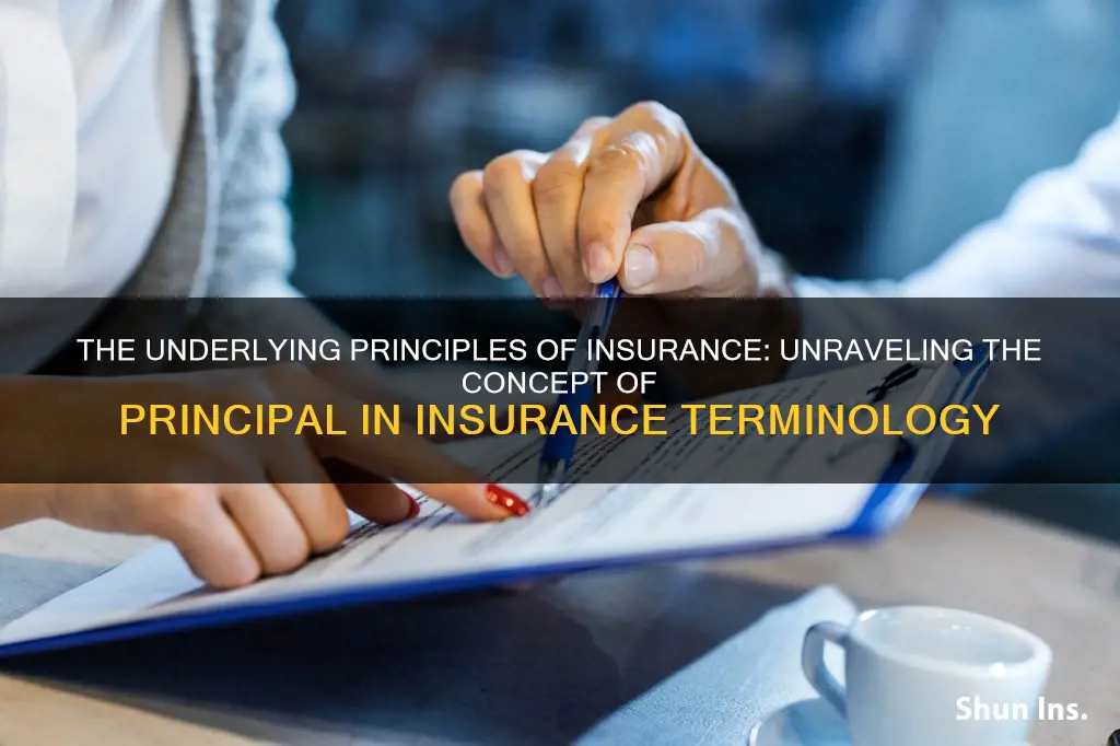 what is a principal in insurance terms