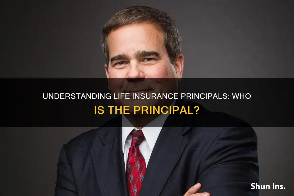 what is a principal in life insurance