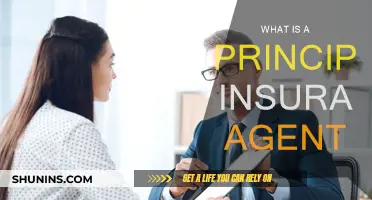 Principal Insurance Agent: What You Need to Know