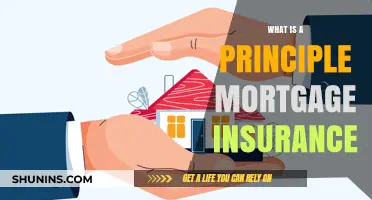 Principle Mortgage Insurance: What You Need to Know
