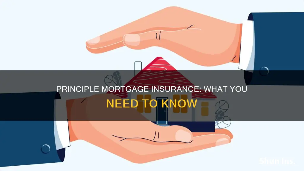 what is a principle mortgage insurance