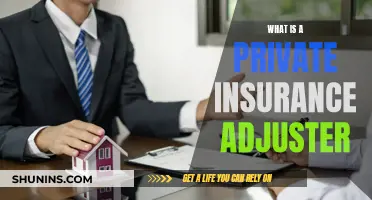 Private Insurance Adjuster: Who Are They and What Do They Do?