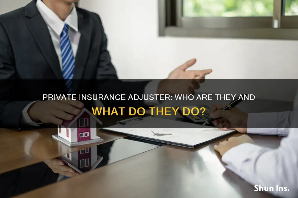 what is a private insurance adjuster