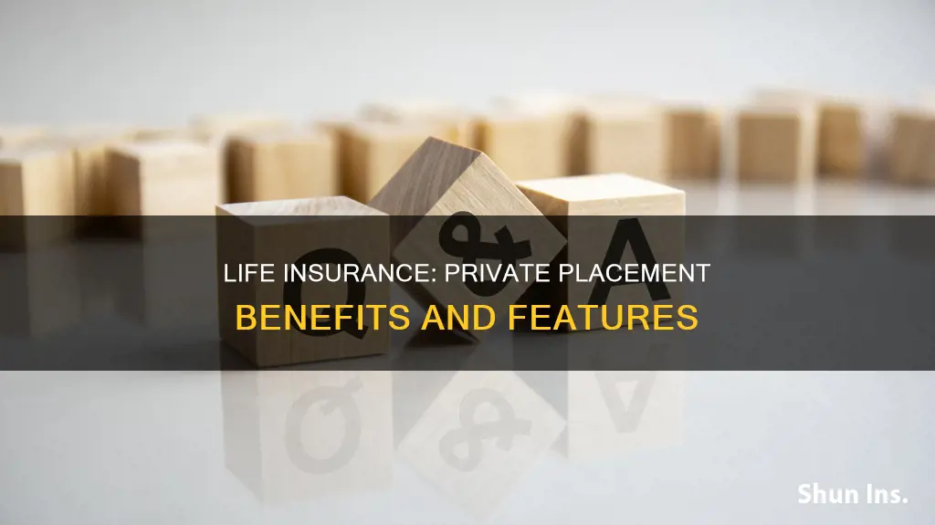 what is a private placement life insurance