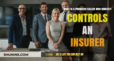 Managing General Agents: Producers Controlling Insurers