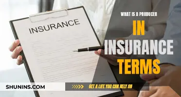 The Unseen Hand: Understanding the Role of Insurance Producers