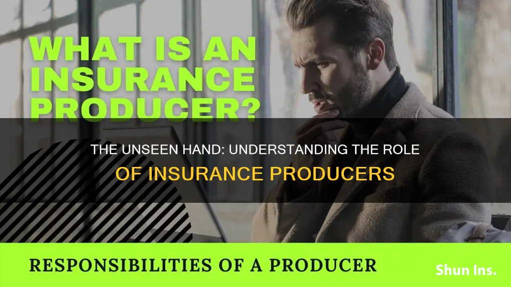 what is a producer in insurance terms