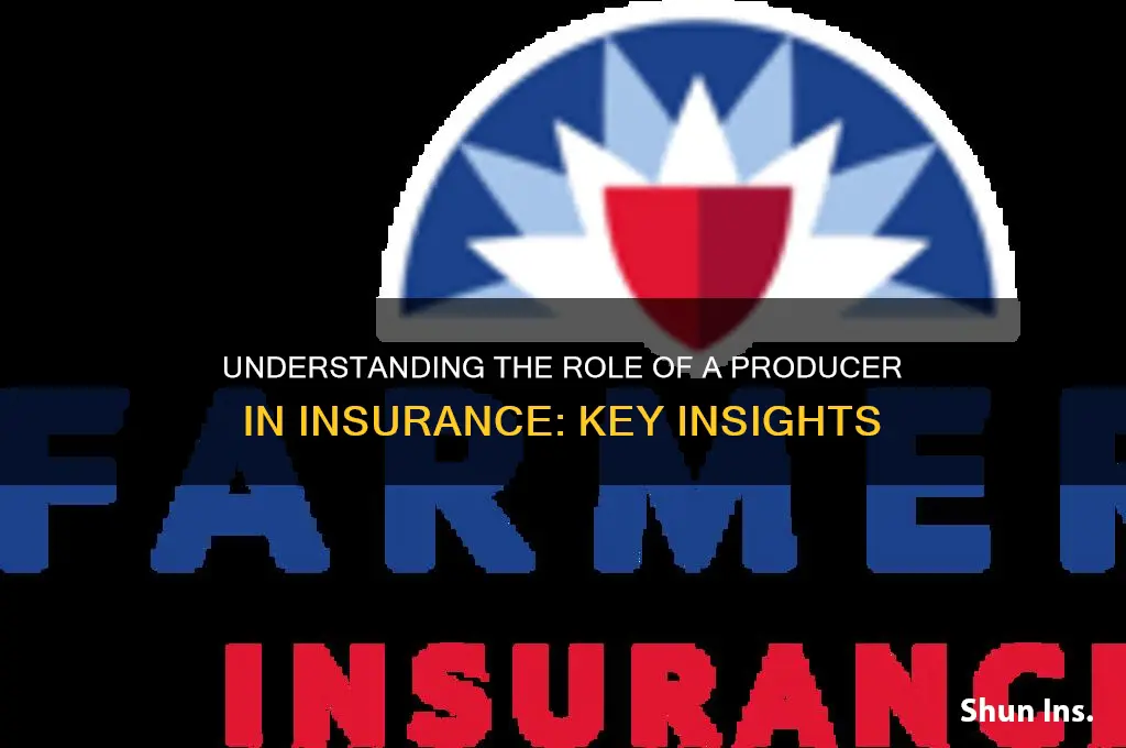 what is a producer in insurance