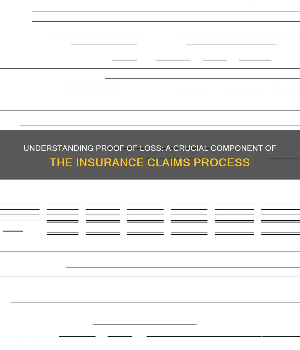 what is a proof of loss in insurance terms