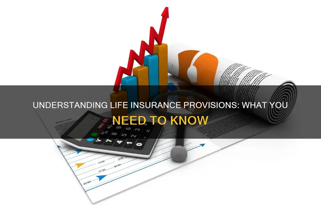 what is a provision in life insurance